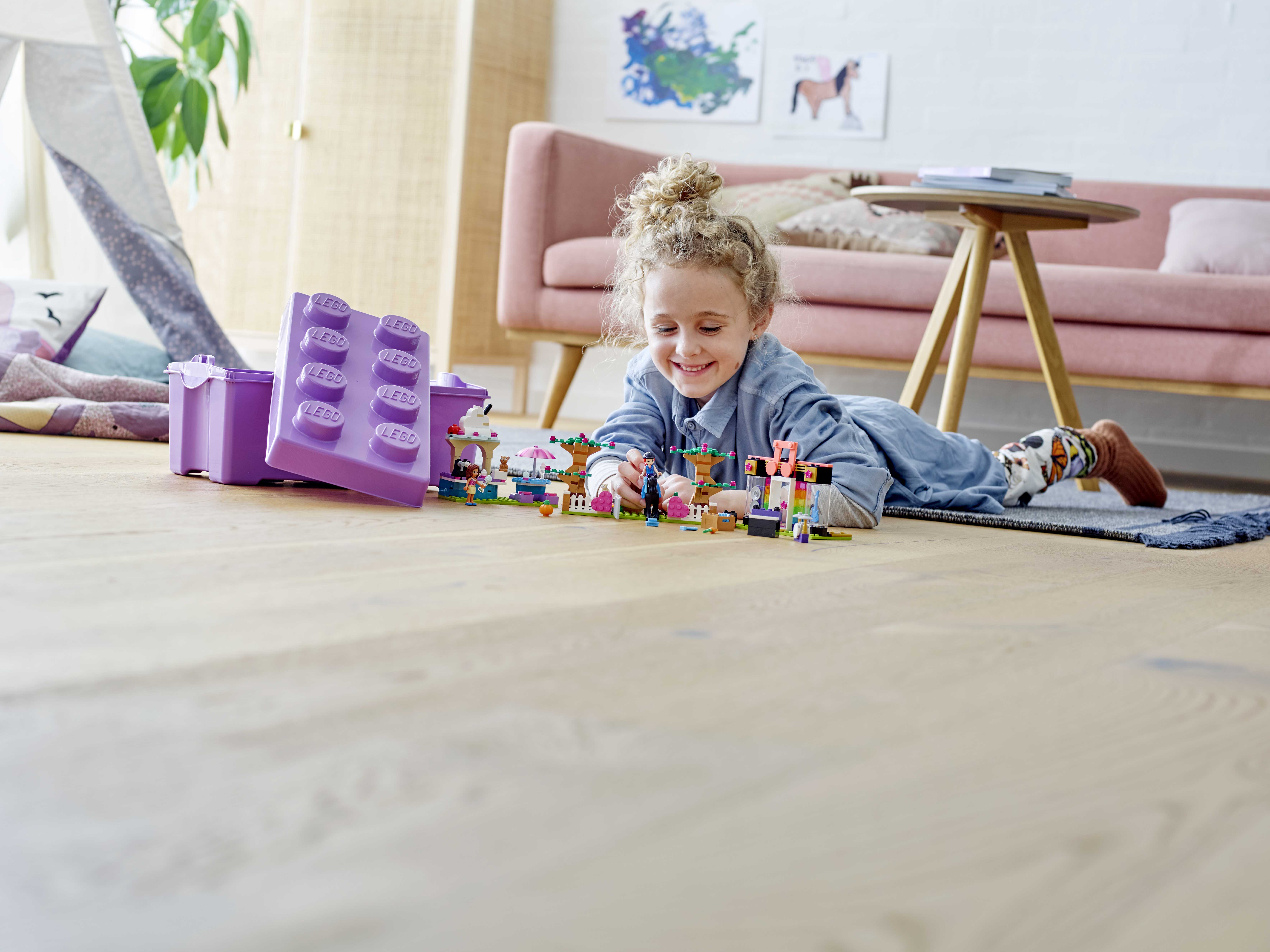 41431 LEGO FRIENDS 1HY20 cons
