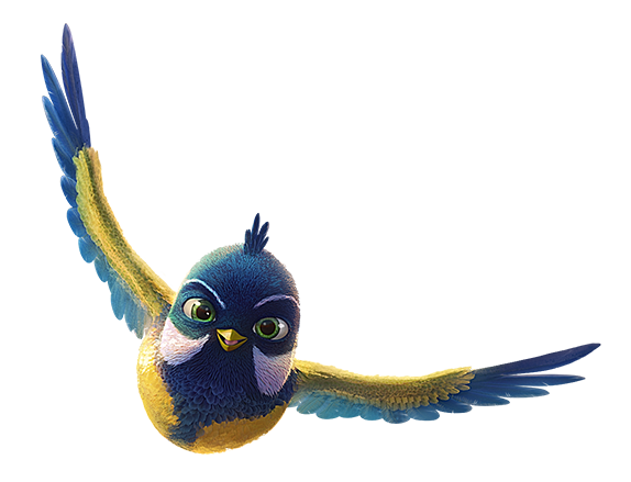 Bird