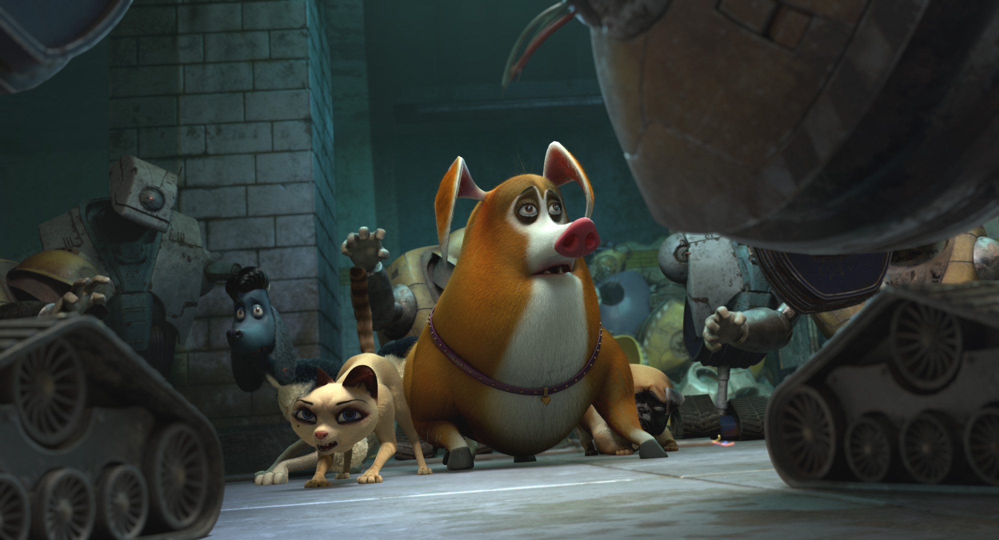 PET s088B c0014 cmp v003.00070